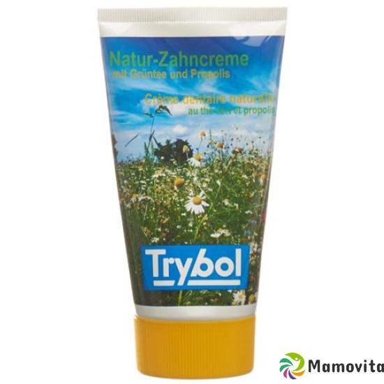 Trybol nature toothpaste with green tea Tb 100 ml buy online