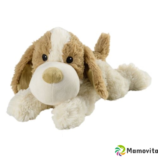 Warmies heat-stuffed animal dog Don buy online