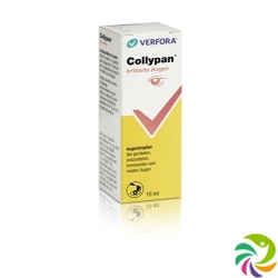 Collypan Irritierte Augen Augentropfen Flasche 10ml