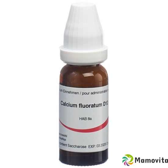 Omida Calcium Fluoratum Globuli D 12 2g buy online