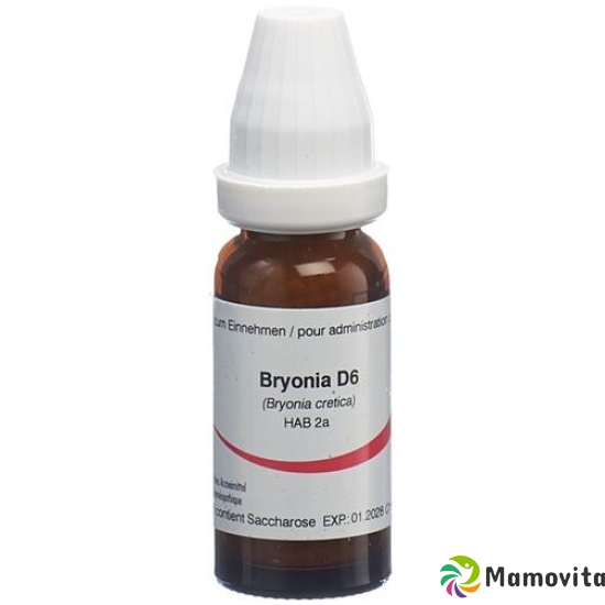 Omida Bryonia Globuli D 6 2g buy online