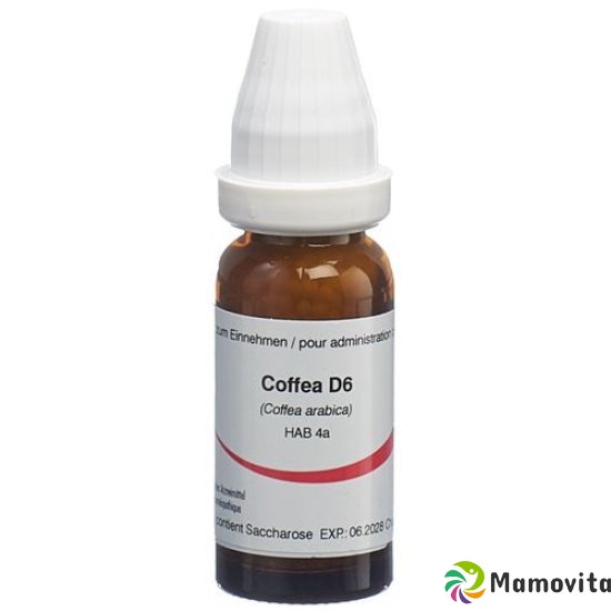 Omida Coffea Globuli D 6 2g buy online