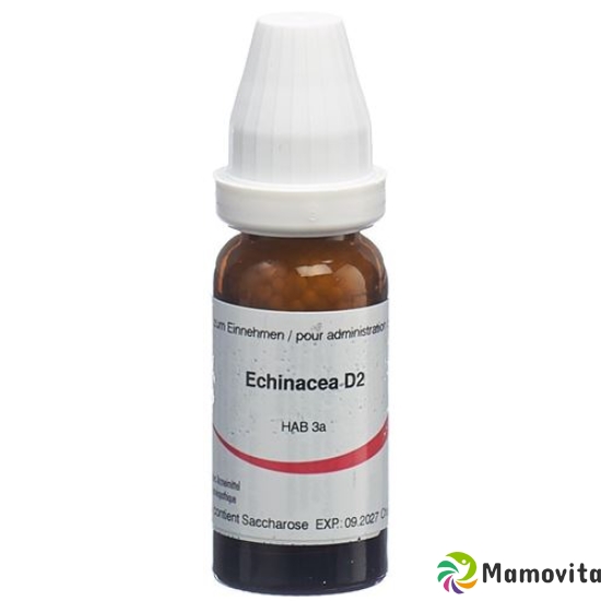 Omida Echinacea Angustifolia Globuli D 2 2g buy online