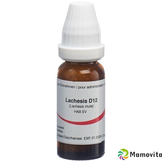 Omida Lachesis Globuli D 12 2g buy online