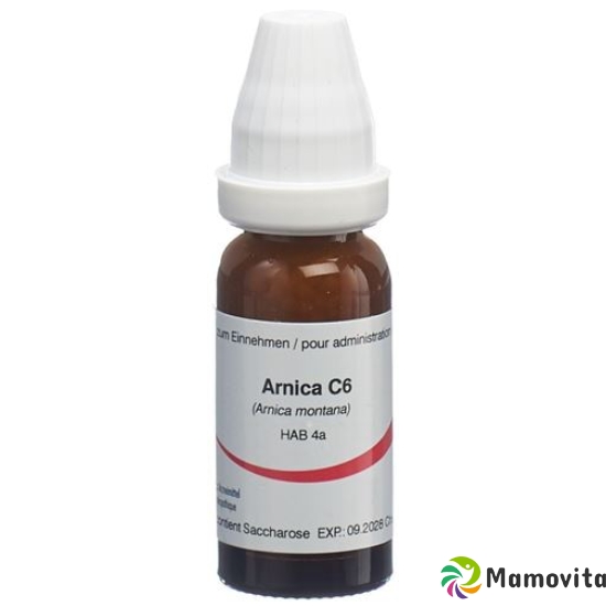 Omida Arnica Globuli C 6 2g buy online