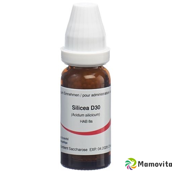 Omida Silicea Globuli D 30 2g buy online