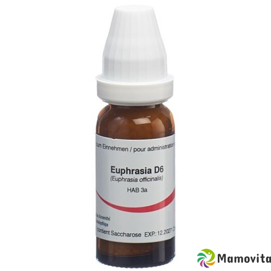 Omida Euphrasia Globuli D 6 2g buy online