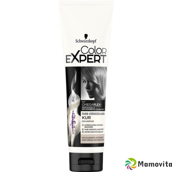 Color Expert Farb-Versiegelungskur 150ml buy online