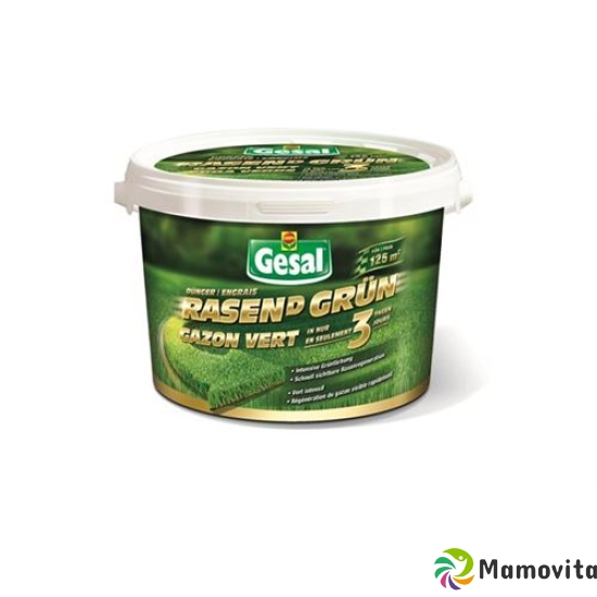 Gesal Rasen(d) Grün 3.75kg buy online