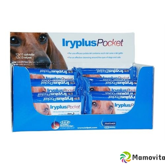 Iryplus Pocket Augenreinigungstuech Kleintie 15 Stück buy online