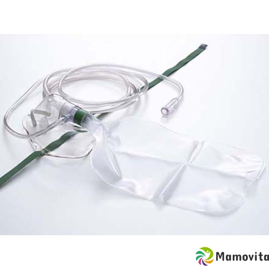 Salter Labs O2-maske Erwachsene +sparbe+2.1m Schla 50 Stück buy online