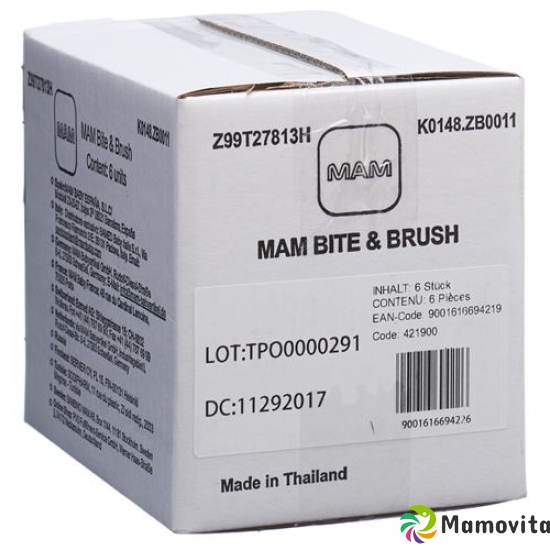 Mam Bite & Brush 3+m Ass 6 Stück buy online