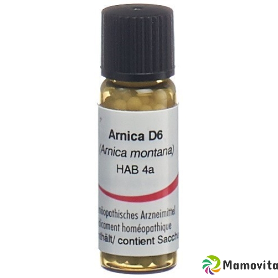 Omida Arnica Montana Globuli D 6 44g buy online