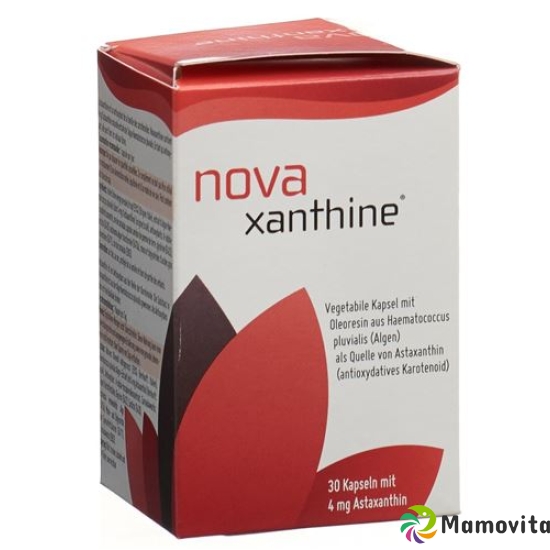 Novaxanthine Astaxanthin Kapseln 4mg Dose 30 Stück buy online