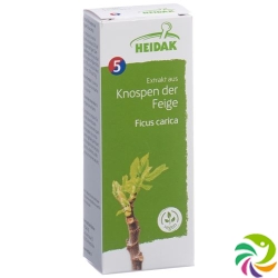 Heidak Knospe Feige Ficus Glyc Maz Flasche 500ml