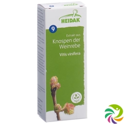 Heidak Knospe Weinrebe Viti Vin Glyc Maz Flasche 500ml