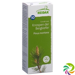 Heidak Knospe Bergkief Pinu Mon Glyc Maz Flasche 500ml