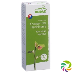 Heidak Knospe Heidelbeer Vaccin Glyc Maz Flasche 500ml