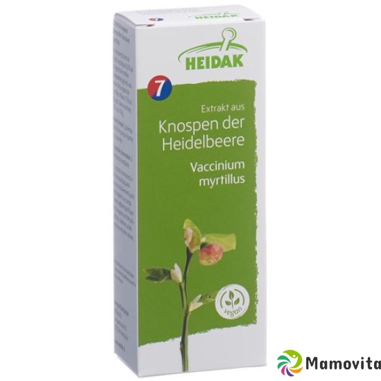 Heidak Knospe Heidelbeer Vaccin Glyc Maz Flasche 500ml buy online