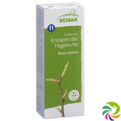 Heidak Knospe Hagebutte Ros Can Glyc Maz Flasche 500ml