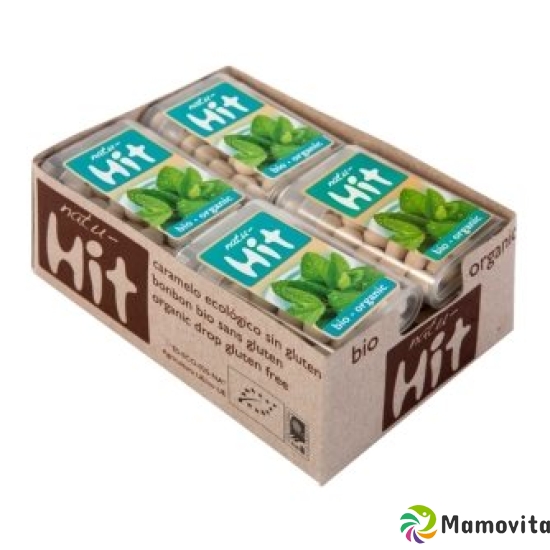 Natu-hit Pfefferminz Dragees Bio Box 11g buy online