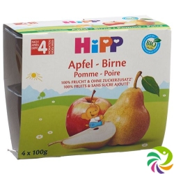 Hipp Fruchtpause Apfel Birne 4x 100g