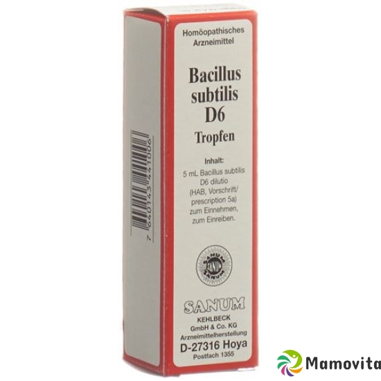 Sanum Bacillus Subtilis Tropfen D 6 5ml buy online