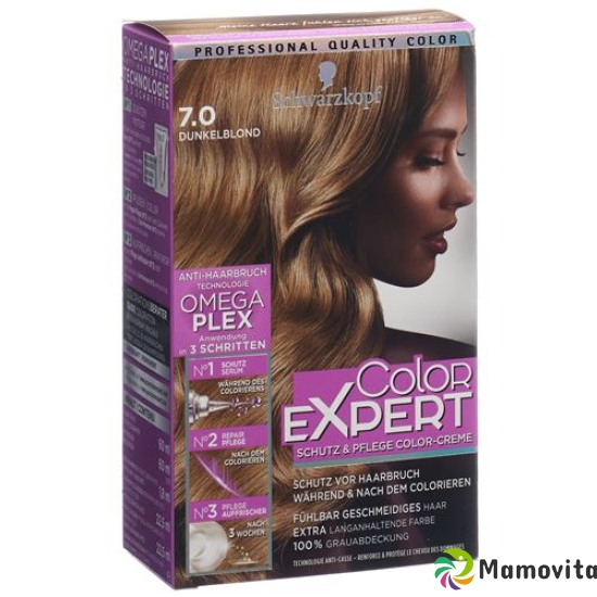 Color Expert 7.0 Dark Blonde buy online