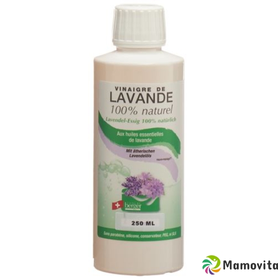 Berger Vinaigre Lavande 250ml buy online