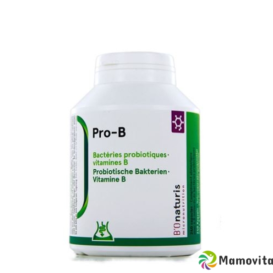 Bionaturis Pro-b Kapseln 4.8 Mia+vit B Kapseln 120 Stück buy online