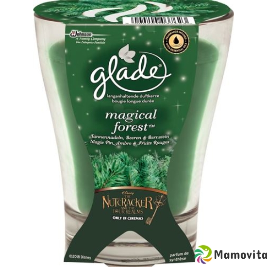 Glade Premium Duftkerze Magical Forest 224g buy online