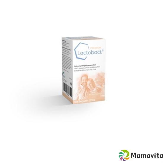 Lactobact Premium Kapseln Dose 300 Stück buy online