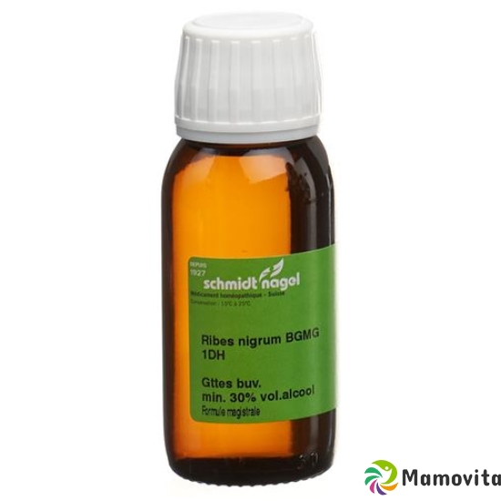 Sn Ribes Nigrum Bg Glyc Maz Dh 1 30ml buy online