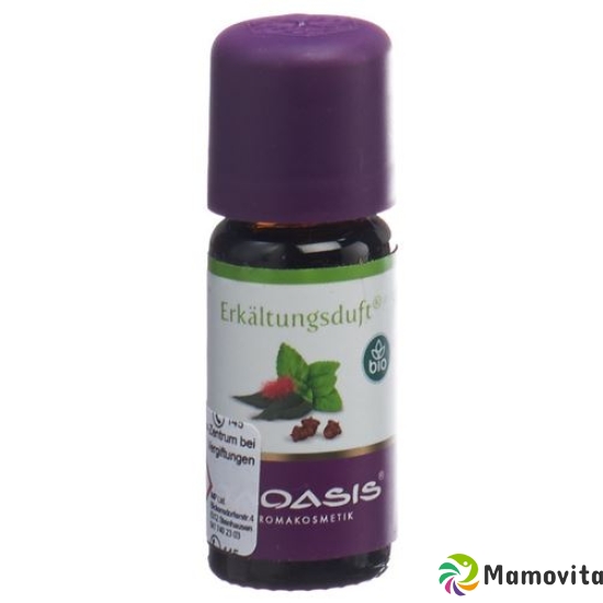 Taoasis Erkältungsduft 10ml buy online