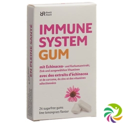 R&r Immune System Gum 24 Stück