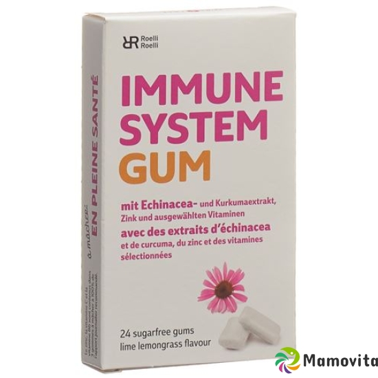 R&r Immune System Gum 24 Stück buy online