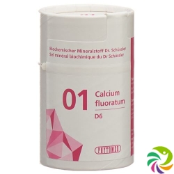 Phytomed Schüssler Nr. 1 Calc Fluor Tabletten D 6 1kg