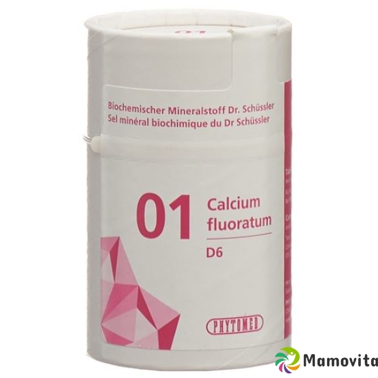 Phytomed Schüssler Nr. 1 Calc Fluor Tabletten D 6 1kg buy online