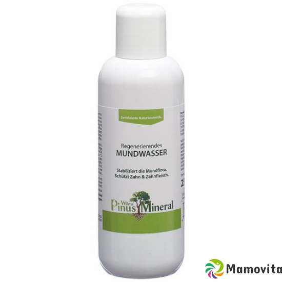 Wilms Pinusmineral Regenerierendes Mundwas 250ml buy online