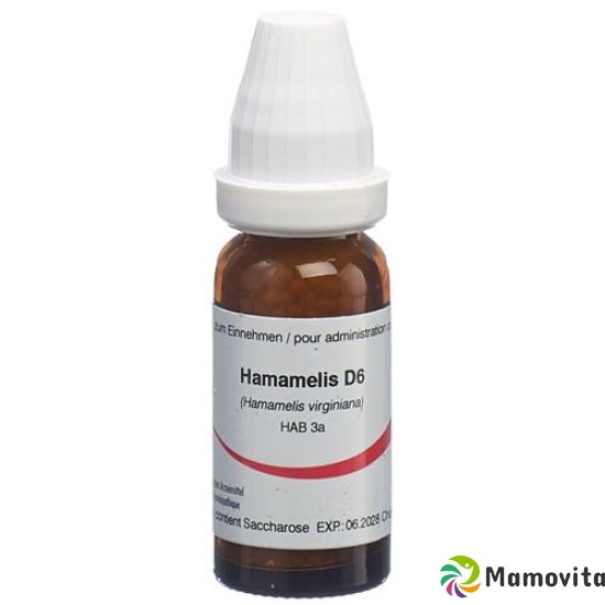 Omida Dhu Hamamelis Globuli D 6 20g buy online