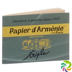 Papier Armenie Blätter 12x 12 Stück