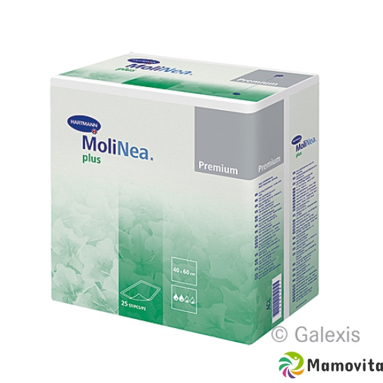 Molinea Plus Unterlagen 40x60cm 350ml Grün 150 Stück buy online