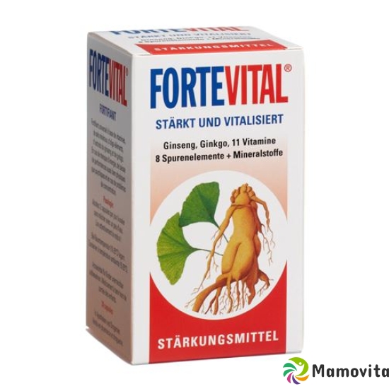 Fortevital Complete Kapseln Dose 90 Stück buy online