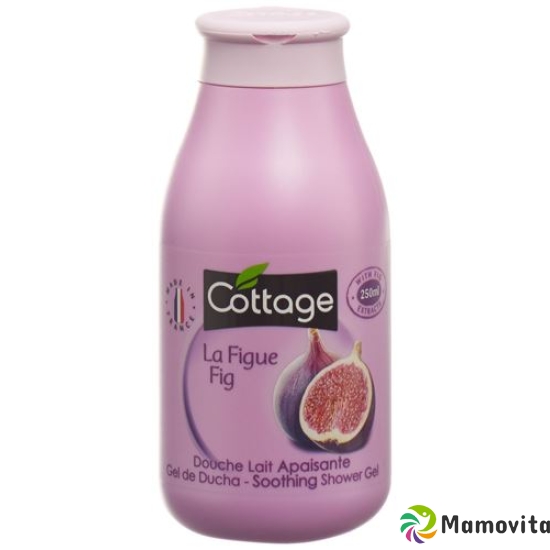 Cottage Dusch Milch Feige Flasche 250ml buy online