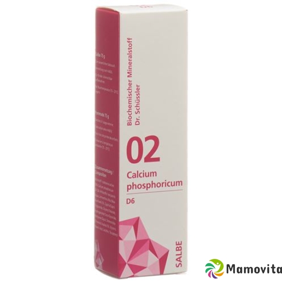 Phytomed Schüssler Nr. 2 Calc Phos Salbe D 6 500g buy online