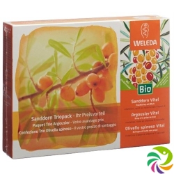 Weleda Sanddorn Vital Sirup Trio 3 Flasche 200ml