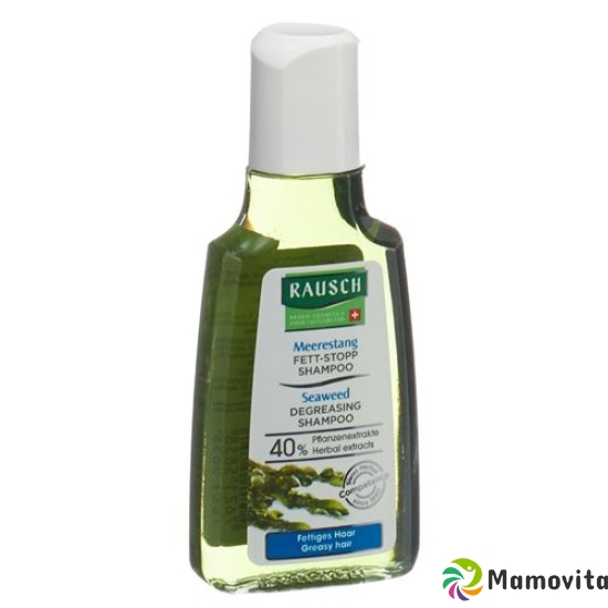 Rausch Meerestang Fett Stop Shampoo 25ml buy online