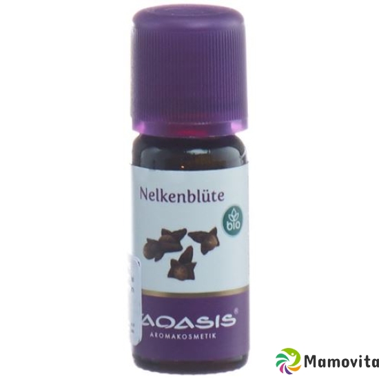 Taoasis Nelkenblüten Ätherisches Öl Bio 10ml buy online