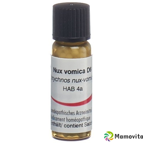 Omida Nux Vomica Globuli D 6 44g buy online