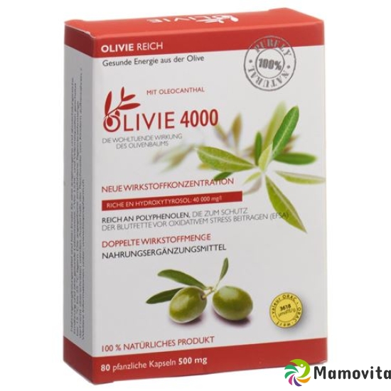 Olivie Force 500mg Gelules Vegetale 20 Stück buy online